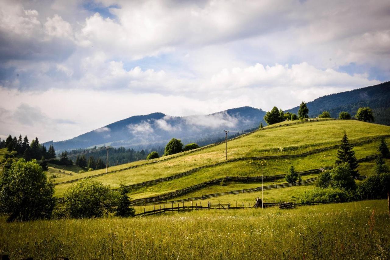 Montana Resort Колибица Экстерьер фото